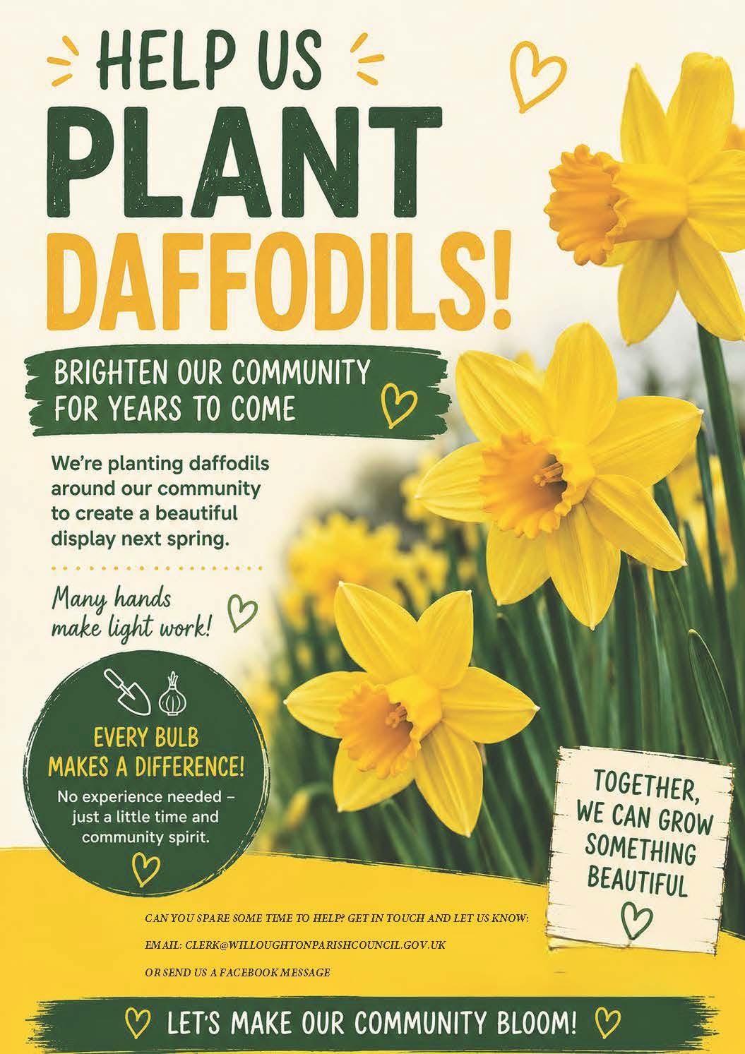 Help us plant daffodils